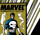 Punisher Vol 2 11