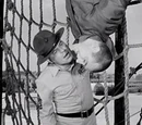 Season 1 of Gomer Pyle