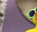 Rubber Duckie (duck)
