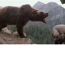 Bart the Bear