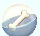 Snack Orb