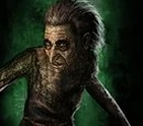 Sea hag