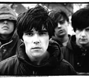 Stone Roses