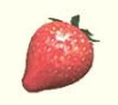 Sunseed Berry