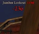 Jumbee Lookout
