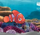 Nemo