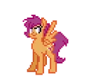 Ponymon Dawn/Dusk Wiki