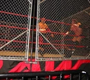 Steel Cage match