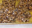 Coconut Drops