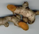 Ginger and other rhizomes