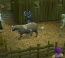 Animal Magnetism