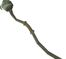 Nature staff