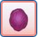 Pruned Skin.png