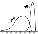 Speculative bioenergetics