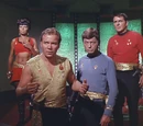 Mirror universe