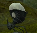 Geyser Hopper