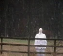 The Watcher