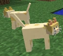 Kitties