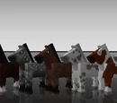 Horse