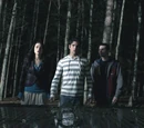 Mhadick/Teen Wolf Season 2 DVD Giveaway