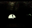 The Tunnel