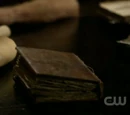 Giuseppe's Journal