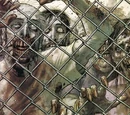 Zombies