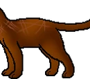 Antpelt