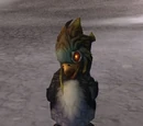Nurtured Penguin Egg