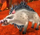 Mottled Boar