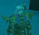 Anasterian Sunstrider