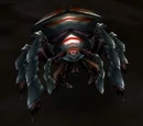 Borer Beetle