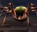 Hyakiss the Lurker