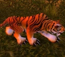 Stranglethorn Tiger
