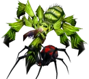 Spider