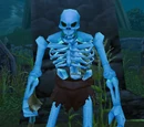 Skeletal Mage