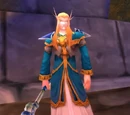 High Elf Mage-Priest
