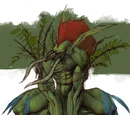 Amani tribe