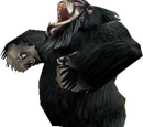 Gorilla