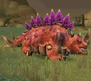 Stormhide