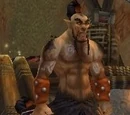 Verog the Dervish