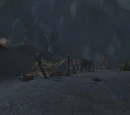 Ravaged Twilight Camp
