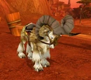 Racing Ram