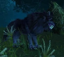 Black Ravager