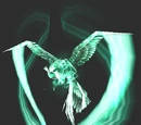 Spirit beast