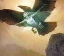 Flight Form