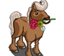 Settling Stallion