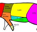 Pork cuts