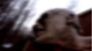 LitEW.png