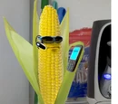 Cob